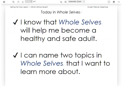 What is Whole Selves - Student Objectives